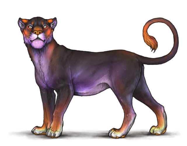 🎃Witch Base🎃 (700+ supports) Lioden